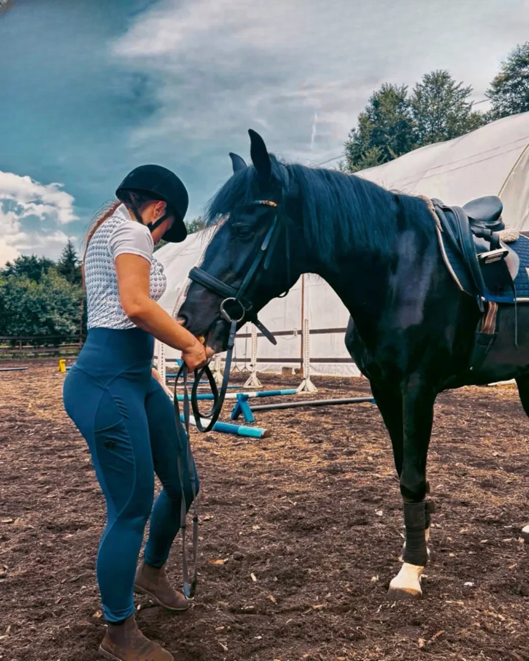 Regina ReginaWin thumbnail 26